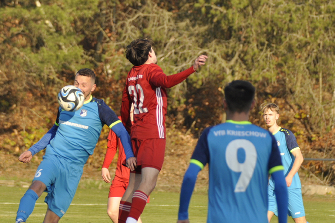 Krieschow_II_heim_25_26 (16)